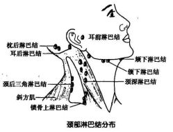 -慕拉美甲美睫皮肤管理