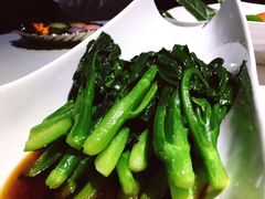 -梧桐餐厅(泉城路店)