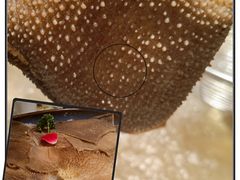 -左庭右院鲜牛肉火锅(苏州园区永旺店)