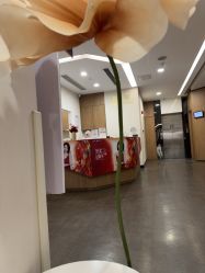 -上海玫瑰医疗美容医院