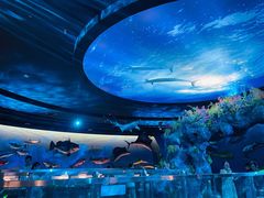 -陕西自然博物馆