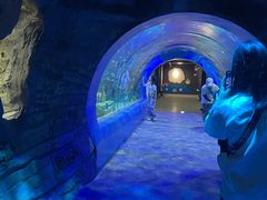 -龙谷湾旅游休闲度假区