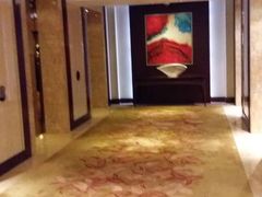 -上海新发展亚太JW万豪酒店