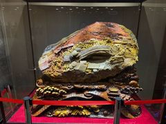 -燕春楼(海河华鼎店)