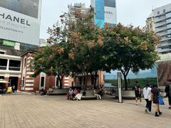 -大馆(前中区警署建築群)