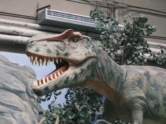 -国家自然博物馆