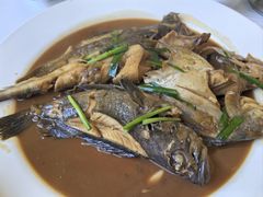 -宾朋海鲜特色美食餐厅·纯手工鲅鱼水饺(兴海路店)