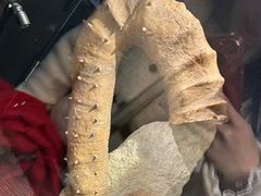 -崇州天演博物馆