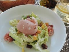 -Terra Rossa(陆家嘴中心店)