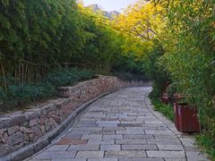 -竹子庵公园