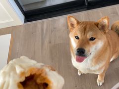 -白玉兰食品(甜云店)