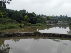 园林一角-张坝桂圆林公园