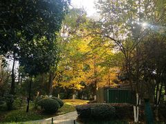 -天鹅湖体育公园