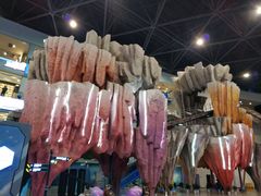 -弘阳·未来世界(弘阳广场店)