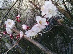 -长春公园(普阳街道)