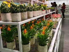 -KKV(深圳宏发大仟里店)