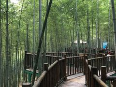 -陶祖圣境风景区