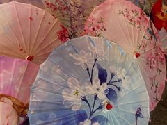 -鲁镇