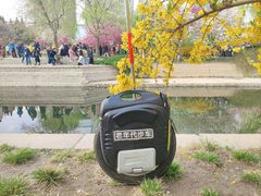-海棠花溪(元大都城垣遗址公园)