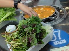 -张氏特色豆花火锅酸汤鱼(江口店)