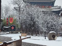 -大槐树寻根祭祖园