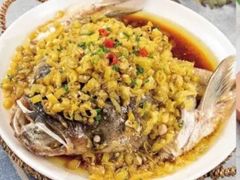 -庐州太太(信地店)