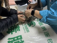-瑞派宠物医院·24h·骨外科·皮肤科·全科宠物医疗转诊中心(沈阳浑南院)