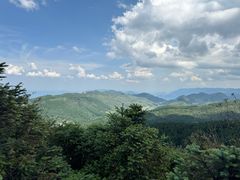 -武陵山森林公园