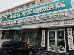 -北京观赏动物医院·24小时大型综合·猫专科·异宠专科