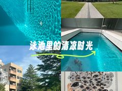 -金泽21世纪美术馆