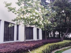 -上海汾阳花园酒店