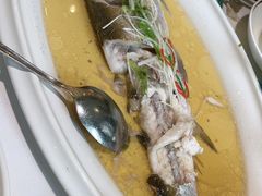 -老洋房花园饭店(绍兴路店)