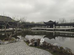 -上海滨江森林公园