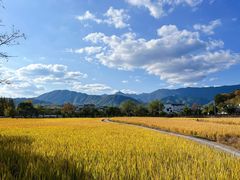 -塔川景区
