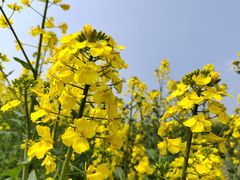 -中国天府农业博览园