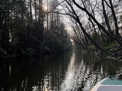 -上海滨江森林公园