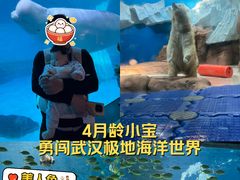 -海合安武汉极地海洋公园