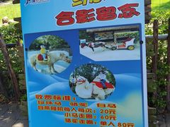 -深圳野生动物园