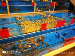 水产区-鼎记酒楼(雁南一路店)