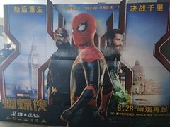 -汉阳天河电影城(王家湾店)