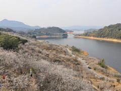 -广州市流溪河国家森林公园