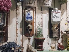 -六月花园咖啡馆(中关村东路店)