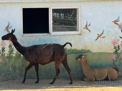 -西霞口神雕山野生动物世界