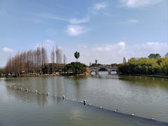 -江心屿景区