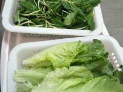 -正能量脆肉鲩火锅