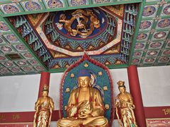 -上海东林寺(金山区)