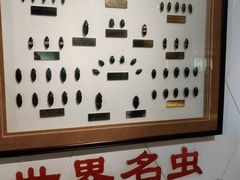 -上海昆虫博物馆
