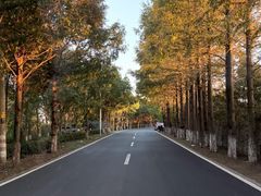 -太阳岛度假酒店