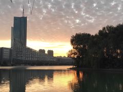 -天鹅湖体育公园