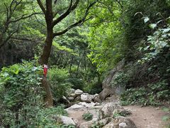 -抱龙峪